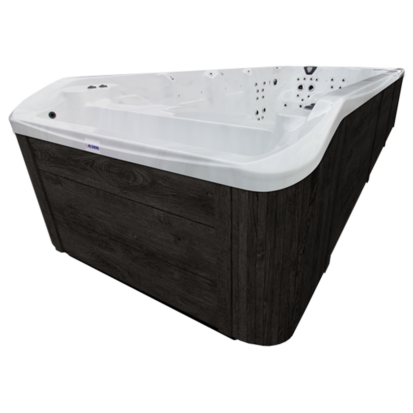 Swim Spa 17'